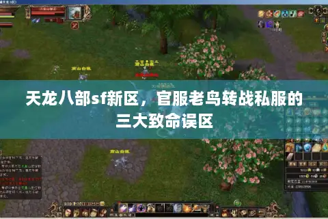 天龙八部sf新区，官服老鸟转战私服的三大致命误区