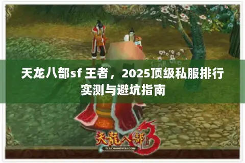 天龙八部sf 王者，2025顶级私服排行实测与避坑指南