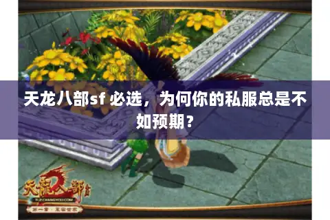 天龙八部sf 必选,为何你的私服总是不如预期? 天龙八部sf 必选,为何你的私服总是不如预期?