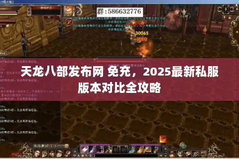 天龙八部发布网 免充，2025最新私服版本对比全攻略