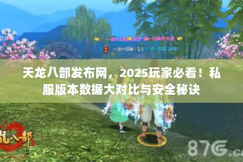 天龙八部发布网，2025玩家必看！私服版本数据大对比与安全秘诀