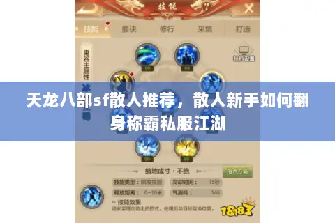 天龙八部sf散人推荐，散人新手如何翻身称霸私服江湖