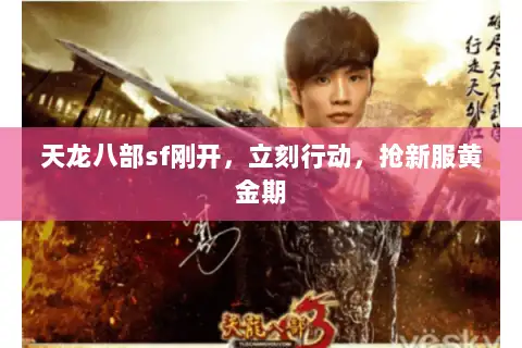 天龙八部sf刚开，立刻行动，抢新服黄金期