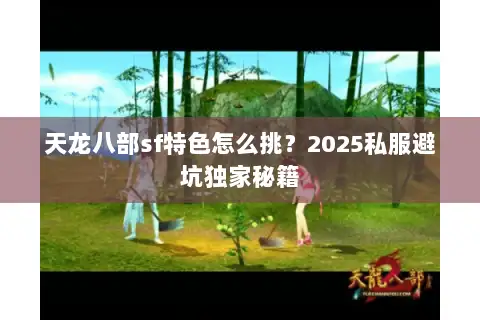 天龙八部sf特色怎么挑？2025私服避坑独家秘籍
