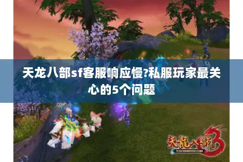天龙八部sf客服响应慢?私服玩家最关心的5个问题