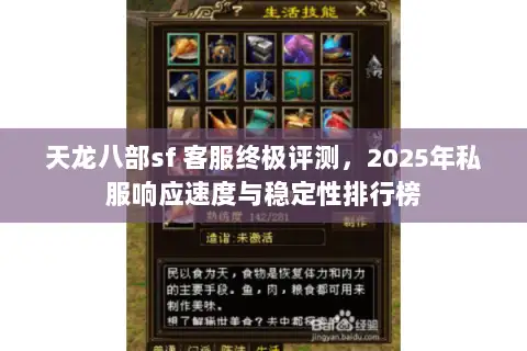 天龙八部sf 客服终极评测，2025年私服响应速度与稳定性排行榜