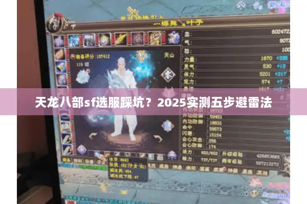 天龙八部sf选服踩坑？2025实测五步避雷法