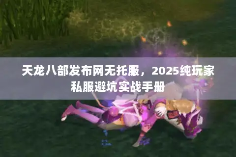 天龙八部发布网无托服,2025纯玩家私服避坑实战手册 天龙八部发布网无托服,2025纯玩家私服避坑实战手册