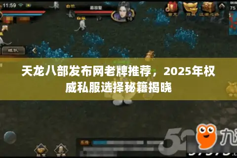 天龙八部发布网老牌推荐，2025年权威私服选择秘籍揭晓