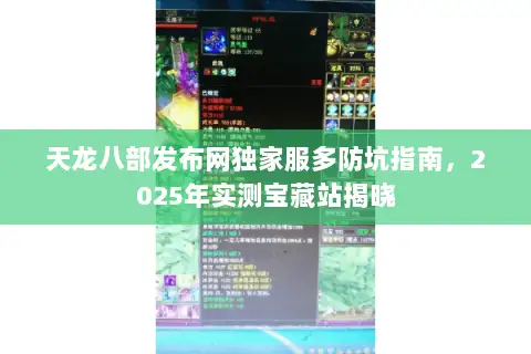天龙八部发布网独家服多防坑指南，2025年实测宝藏站揭晓