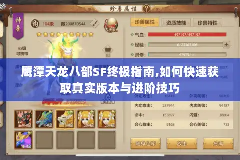 鹰潭天龙八部SF终极指南,如何快速获取真实版本与进阶技巧