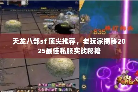 天龙八部sf 顶尖推荐，老玩家揭秘2025最佳私服实战秘籍