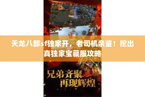 天龙八部sf独家开，老司机亲鉴！挖出真独家宝藏服攻略