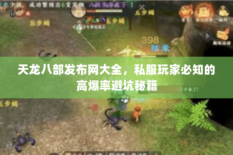 天龙八部发布网大全，私服玩家必知的高爆率避坑秘籍