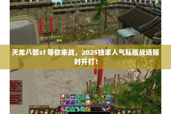 天龙八部sf 等你来战，2025独家人气私服战场限时开打！