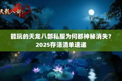 能玩的天龙八部私服为何都神秘消失？2025存活清单速递