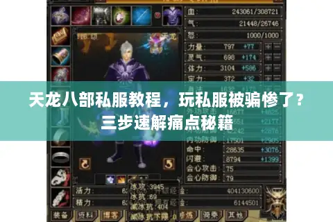 天龙八部私服教程，玩私服被骗惨了？三步速解痛点秘籍