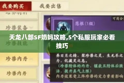 天龙八部SF奶妈攻略,5个私服玩家必看技巧