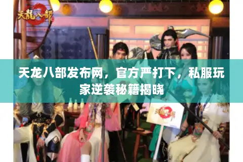 天龙八部发布网，官方严打下，私服玩家逆袭秘籍揭晓