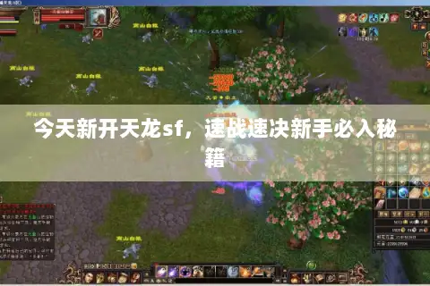 今天新开天龙sf，速战速决新手必入秘籍
