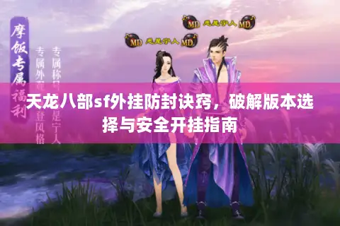 天龙八部sf外挂防封诀窍,破解版本选择与安全开挂指南 天龙八部sf外挂防封诀窍,破解版本选择与安全开挂指南