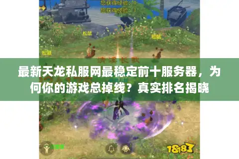 最新天龙私服网最稳定前十服务器，为何你的游戏总掉线？真实排名揭晓