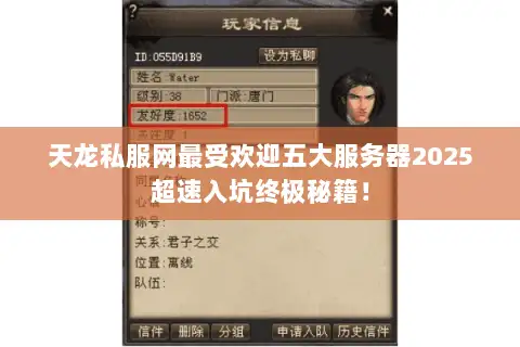 天龙私服网最受欢迎五大服务器2025超速入坑终极秘籍！