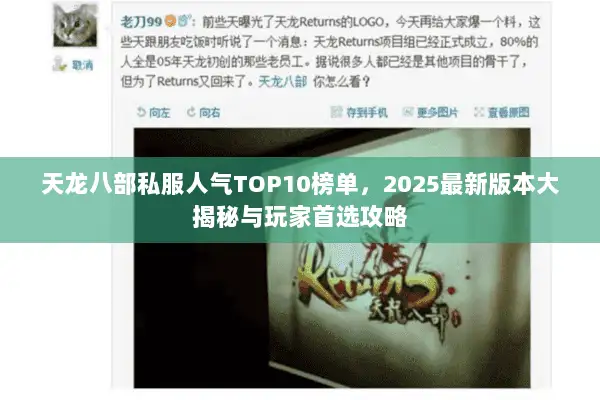 天龙八部私服人气TOP10榜单,2025最新版本大揭秘与玩家首选攻略 天龙八部私服人气TOP10榜单,2025最新版本大揭秘与玩家首选攻略