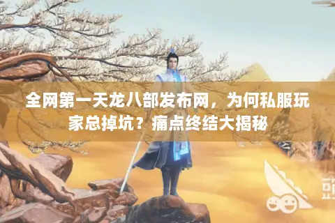 全网第一天龙八部发布网，为何私服玩家总掉坑？痛点终结大揭秘