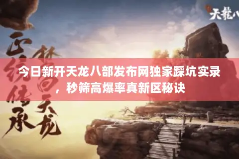 今日新开天龙八部发布网独家踩坑实录，秒筛高爆率真新区秘诀