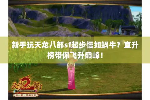 新手玩天龙八部sf起步慢如蜗牛？直升榜带你飞升巅峰！