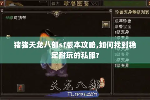 猪猪天龙八部sf版本攻略,如何找到稳定耐玩的私服? 猪猪天龙八部sf版本攻略,如何找到稳定耐玩的私服?