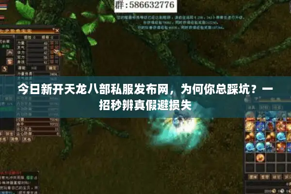 今日新开天龙八部私服发布网，为何你总踩坑？一招秒辨真假避损失