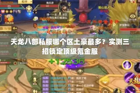 天龙八部私服哪个区土豪最多?实测三招锁定顶级氪金服 天龙八部私服哪个区土豪最多?实测三招锁定顶级氪金服