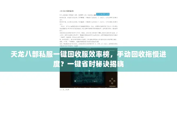 天龙八部私服一键回收服效率榜，手动回收拖慢进度？一键省时秘诀揭晓