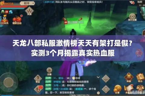 天龙八部私服激情榜天天有架打是假？实测3个月揭露真实热血服