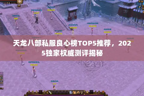 天龙八部私服良心榜TOP5推荐,2025独家权威测评揭秘 天龙八部私服良心榜TOP5推荐,2025独家权威测评揭秘
