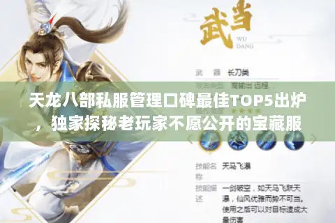 天龙八部私服管理口碑最佳TOP5出炉,独家探秘老玩家不愿公开的宝藏服 天龙八部私服管理口碑最佳TOP5出炉,独家探秘老玩家不愿公开的宝藏服
