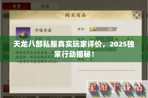 天龙八部私服真实玩家评价，2025独家行动揭秘！