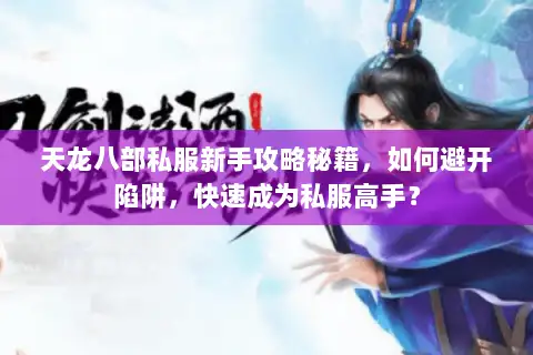 天龙八部私服新手攻略秘籍，如何避开陷阱，快速成为私服高手？