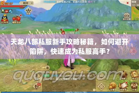 天龙八部私服新手攻略秘籍，如何避开陷阱，快速成为私服高手？
