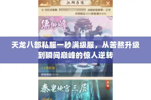 天龙八部私服一秒满级服，从苦熬升级到瞬间巅峰的惊人逆转