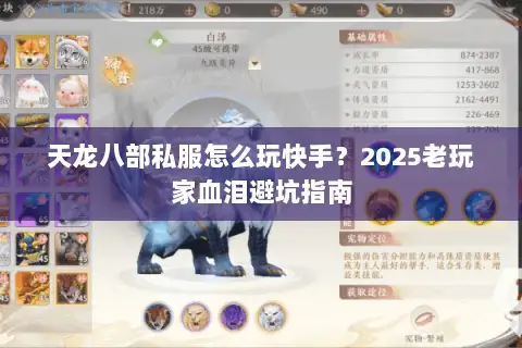 天龙八部私服怎么玩快手？2025老玩家血泪避坑指南