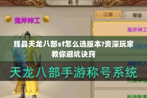 辉县天龙八部sf怎么选版本?资深玩家教你避坑诀窍