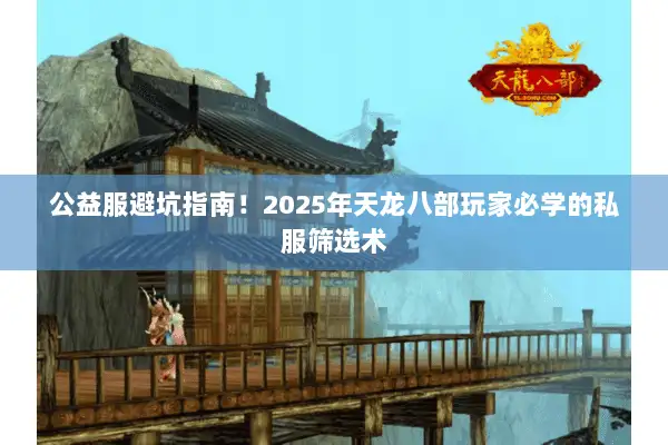 公益服避坑指南！2025年天龙八部玩家必学的私服筛选术