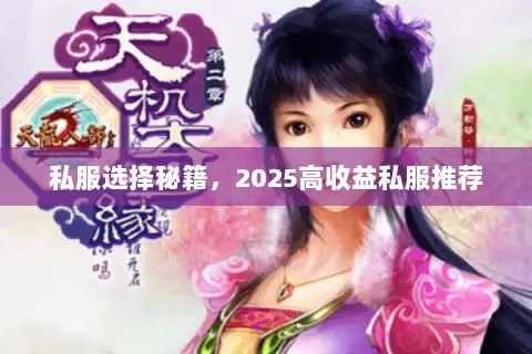 私服选择秘籍,2025高收益私服推荐 私服选择秘籍,2025高收益私服推荐