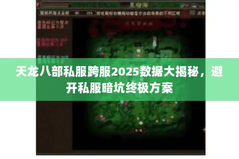 天龙八部私服跨服2025数据大揭秘，避开私服暗坑终极方案