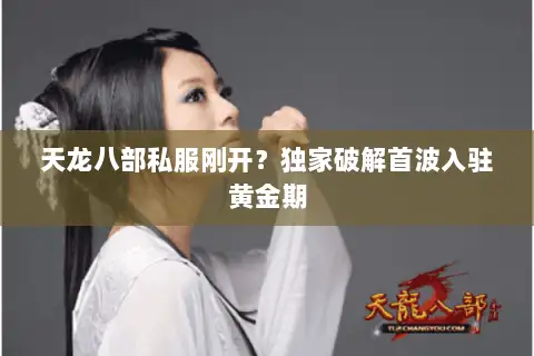 天龙八部私服刚开？独家破解首波入驻黄金期