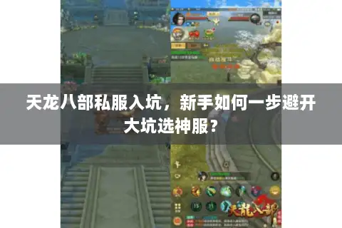 天龙八部私服入坑,新手如何一步避开大坑选神服? 天龙八部私服入坑,新手如何一步避开大坑选神服?