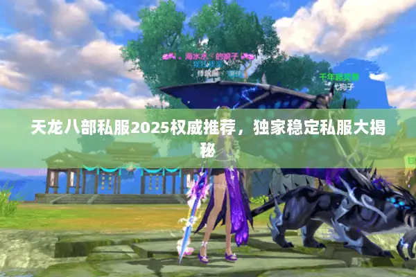 天龙八部私服2025权威推荐，独家稳定私服大揭秘